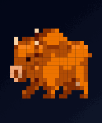 Nyooon Pixel - Product Images - Image 4