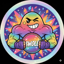 Coinswole Logo