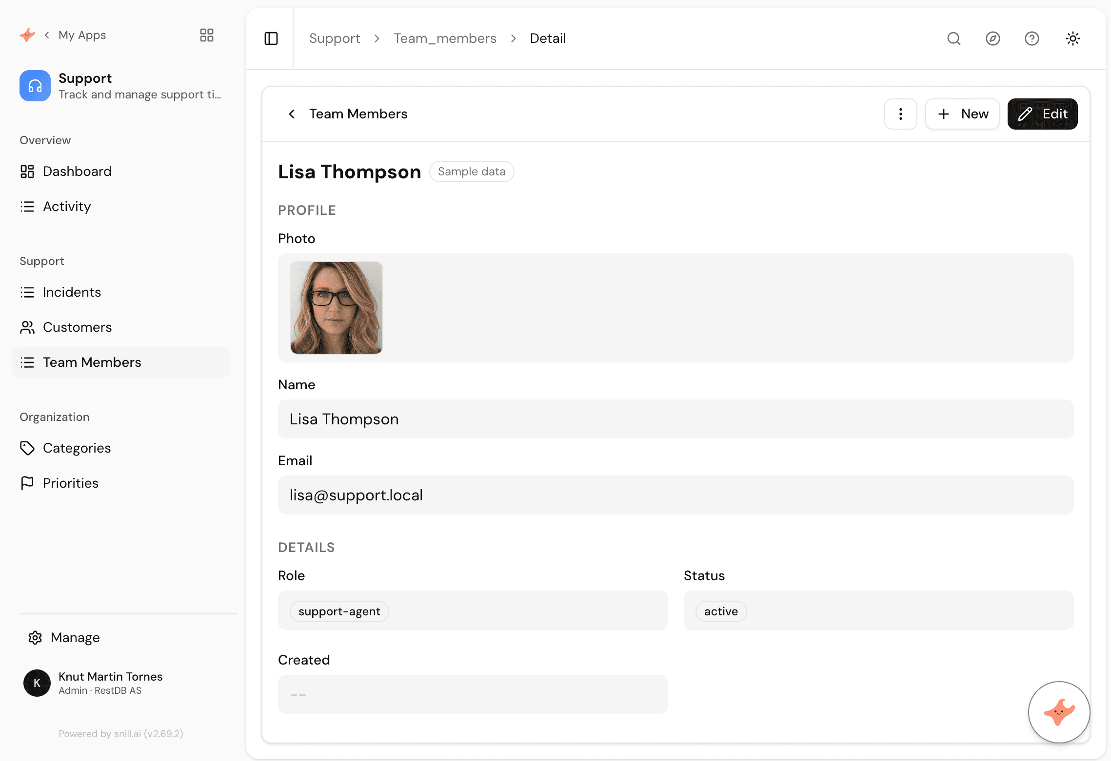 Snill.ai: Describe your business. Get a system that runs it. | Orynth